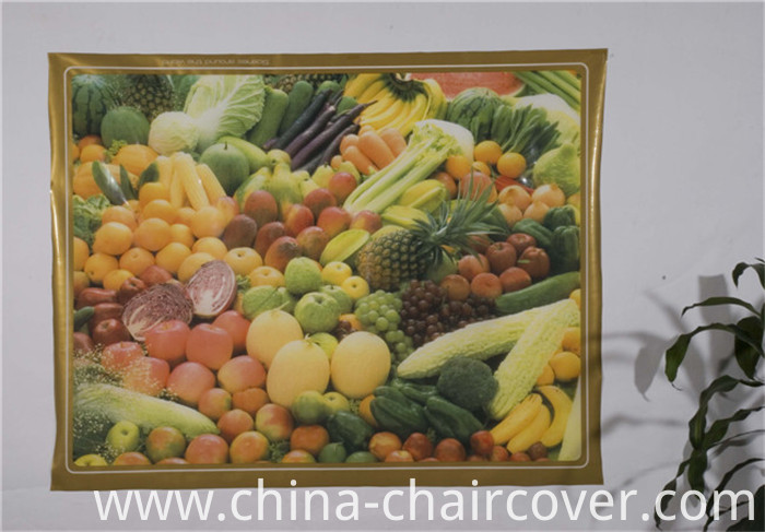 New Independent Design LFGB Transparent Printed Tablecloth 120*152cm (TZ0007)